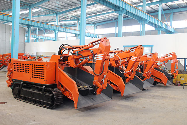 麻豆视屏免费看